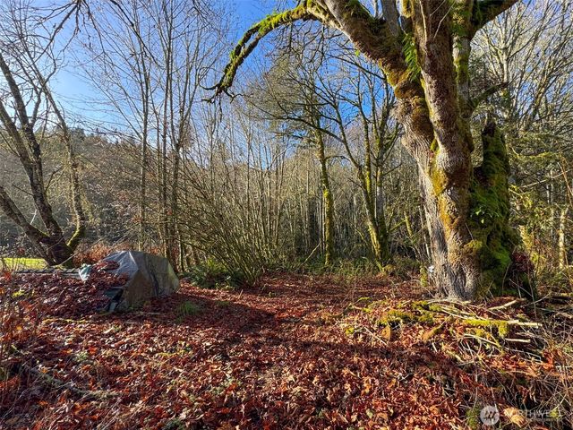 714 Hunt Road, Port Angeles, WA 98363