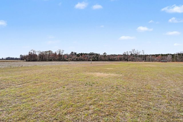 1619 Grain Bin Rd., Lake View, SC 29563