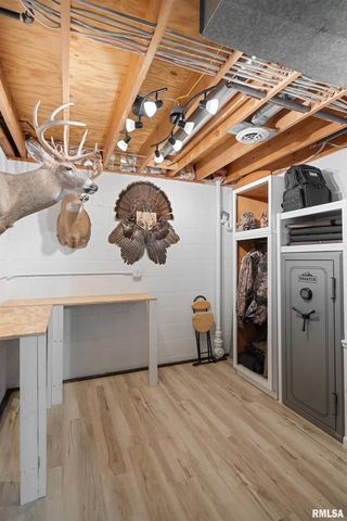 12 TIMBER Lane, Geneseo, IL 61254