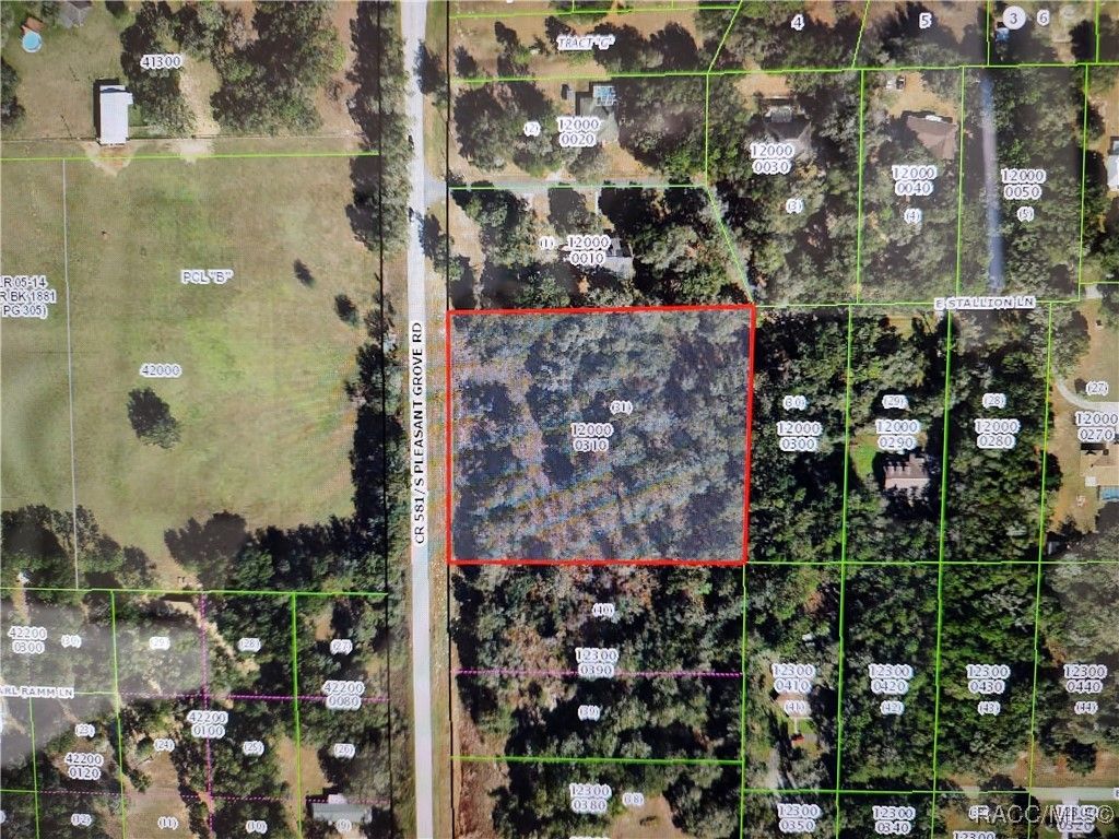 8859 S Pleasant Grove Road, Inverness, FL 34452