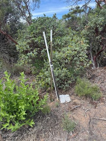 0 Murray Hills Road, Anza, CA 92539