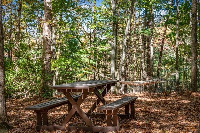 196 Ethan Wilson Way, Morganton, GA 30560