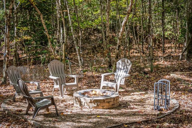 196 Ethan Wilson Way, Morganton, GA 30560