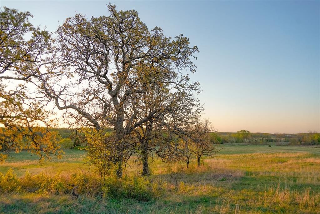 Image 1 of property listing at NE 164th Street, Luther, OK 73054