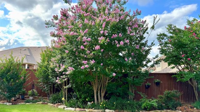 3916 Brook Wood Drive, Mckinney, TX 75071