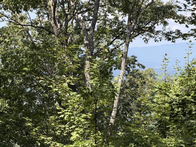 Lot 55 Eagles View Road, Hayesville, NC 28904