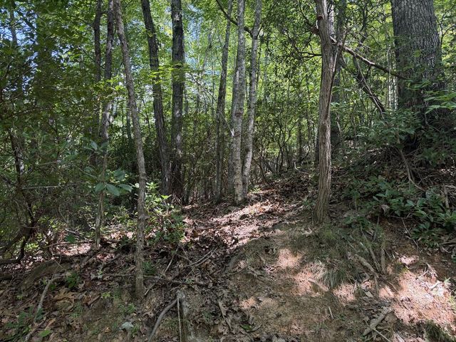 Lot 55 Eagles View Road, Hayesville, NC 28904