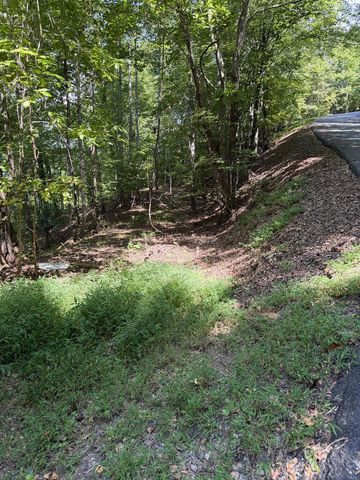Lot 55 Eagles View Road, Hayesville, NC 28904