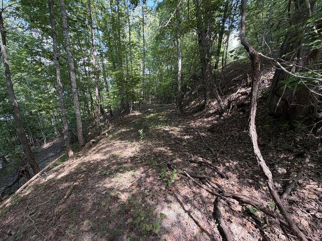 Lot 55 Eagles View Road, Hayesville, NC 28904