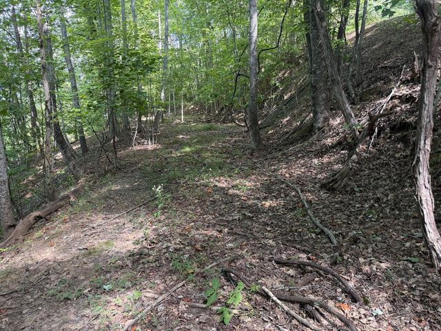 Lot 55 Eagles View Road, Hayesville, NC 28904