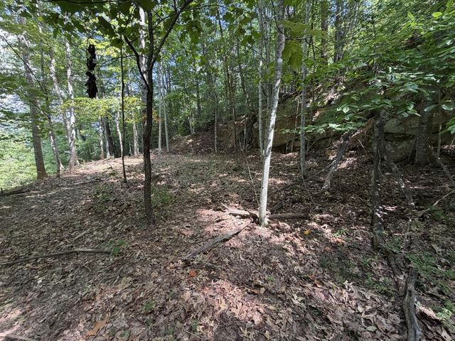 Lot 55 Eagles View Road, Hayesville, NC 28904