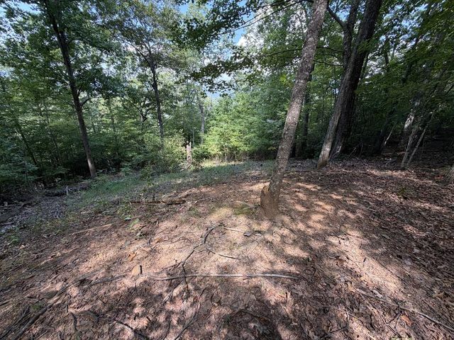 Lot 55 Eagles View Road, Hayesville, NC 28904