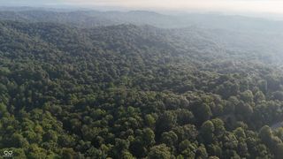 8000 W County Road 225 S, Medora, IN 47260