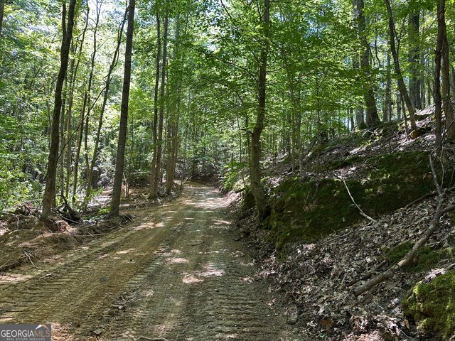 0 Super Deluxe Road, Rockmart, GA 30153