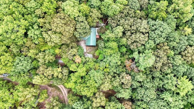 241 Forest Drive, Blairsville, GA 30512