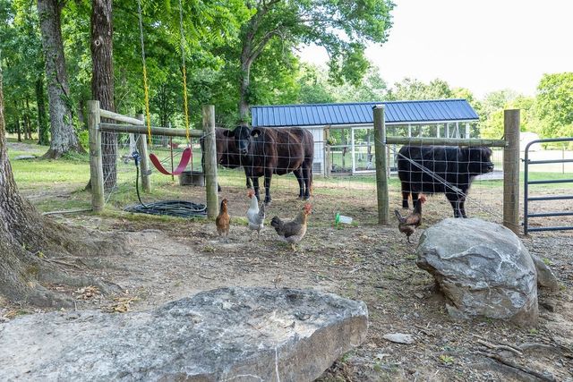 5111 SE Tater Peeler Rd, Lebanon, TN 37090