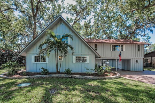 16019 CHASTAIN ROAD, Odessa, FL 33556