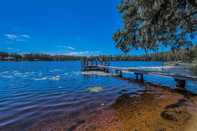 16019 CHASTAIN ROAD, Odessa, FL 33556