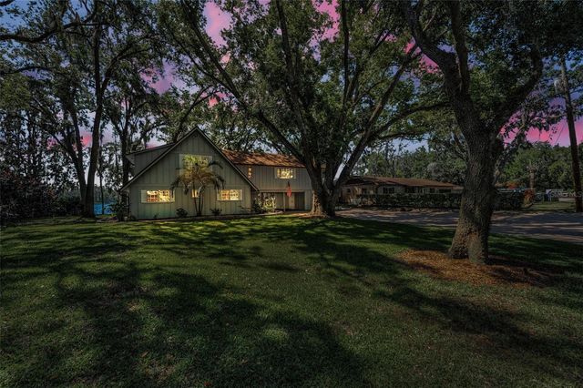 16019 CHASTAIN ROAD, Odessa, FL 33556