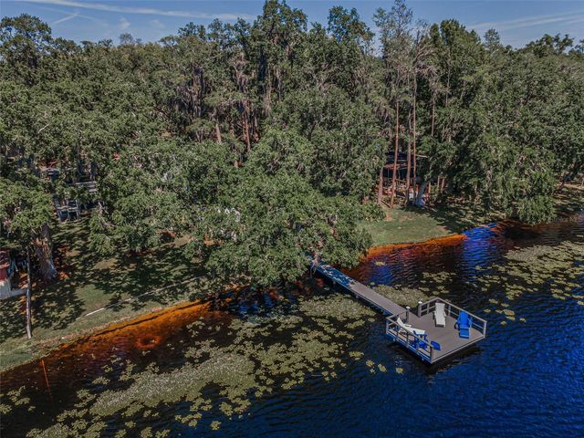 16019 CHASTAIN ROAD, Odessa, FL 33556