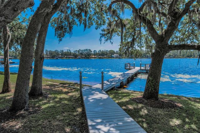 16019 CHASTAIN ROAD, Odessa, FL 33556