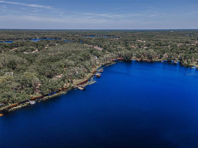 16019 CHASTAIN ROAD, Odessa, FL 33556