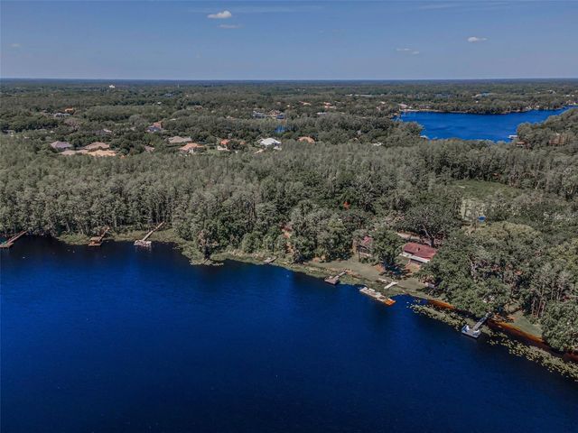 16019 CHASTAIN ROAD, Odessa, FL 33556