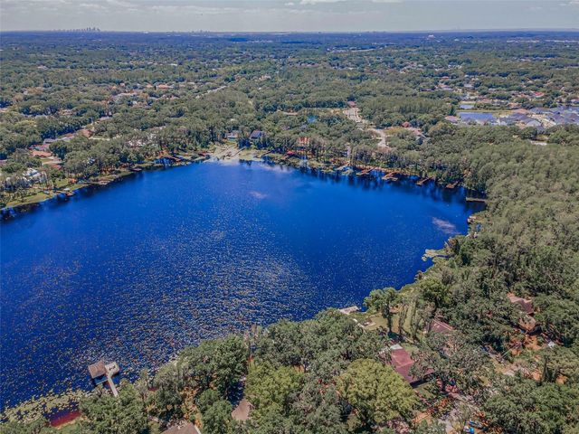 16019 CHASTAIN ROAD, Odessa, FL 33556