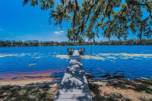 16019 CHASTAIN ROAD, Odessa, FL 33556