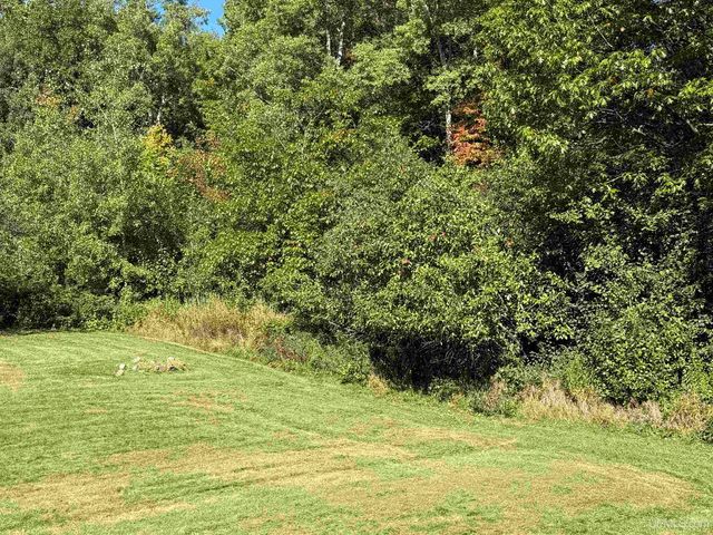 105 Indianhead Road Road, Wakefield, MI 49968