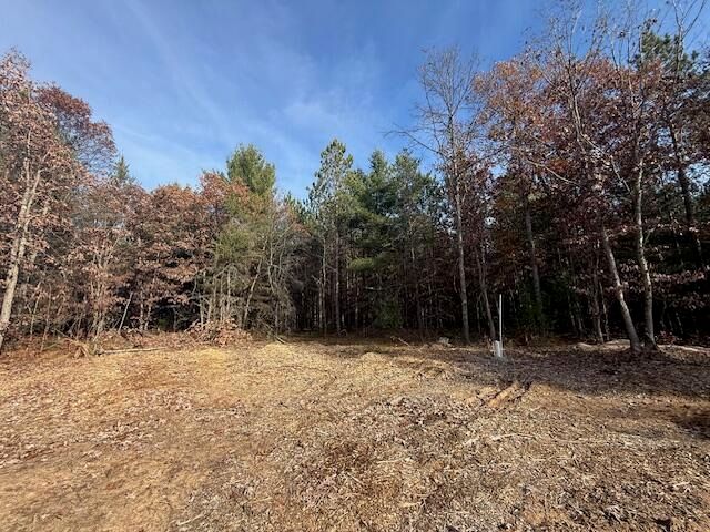 6815 W Dana's Circle, Baldwin, MI 49304