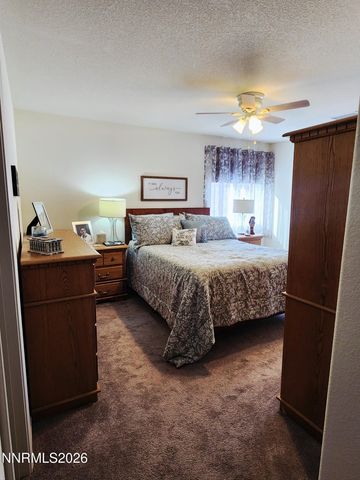 708 Grubbs Well Trail, Dayton, NV 89403