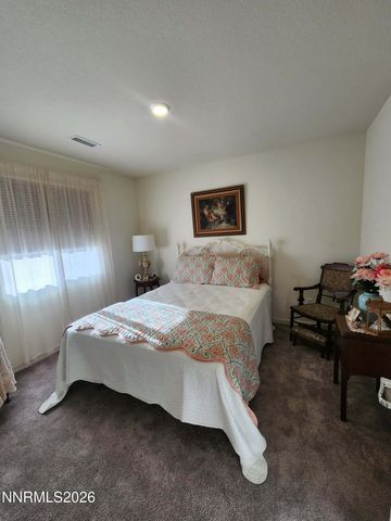 708 Grubbs Well Trail, Dayton, NV 89403