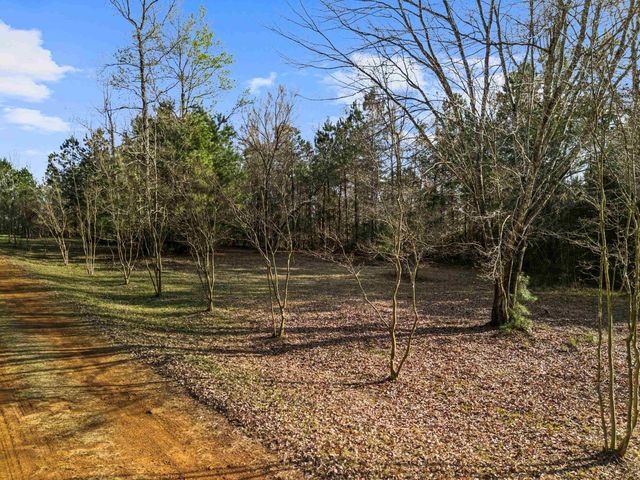 11554 FM 1649, Ore City, TX 75683