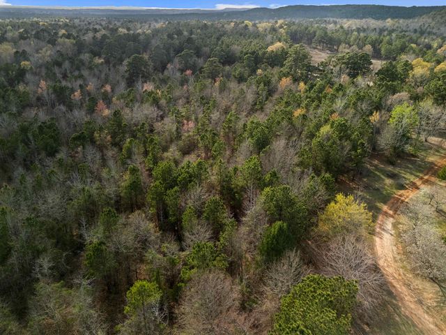 11554 FM 1649, Ore City, TX 75683