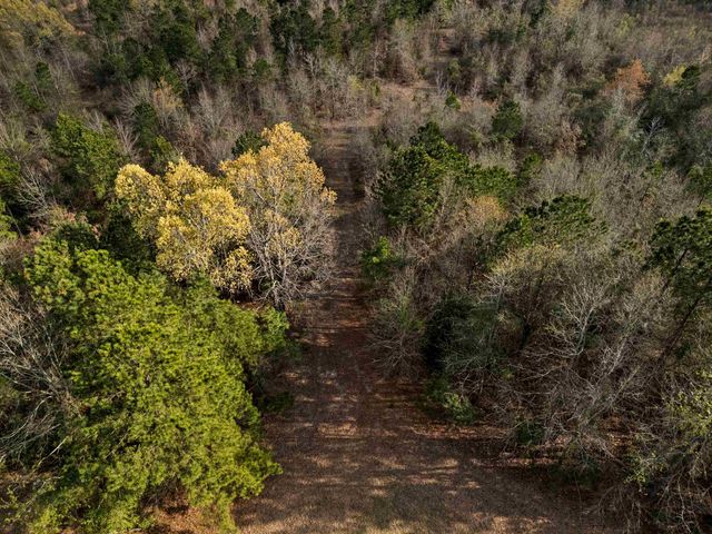 11554 FM 1649, Ore City, TX 75683