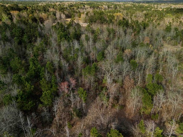 11554 FM 1649, Ore City, TX 75683