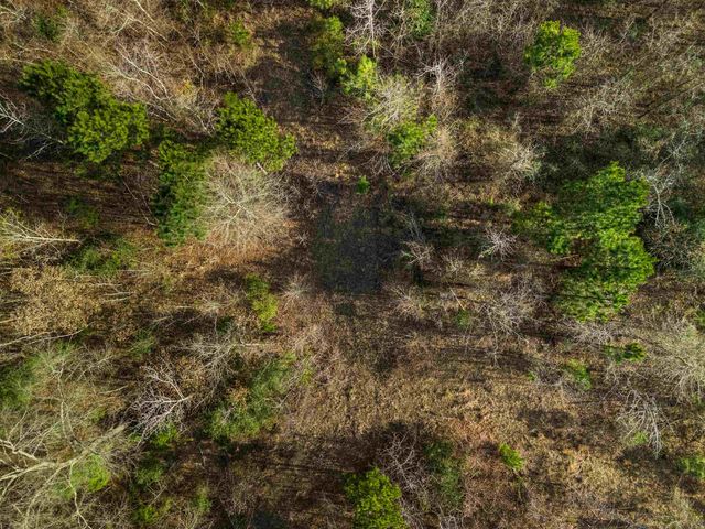 11554 FM 1649, Ore City, TX 75683