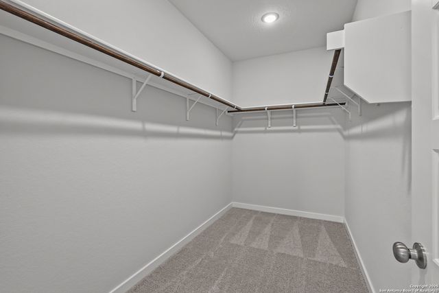 7839 COFFEE MILL, San Antonio, TX 78252