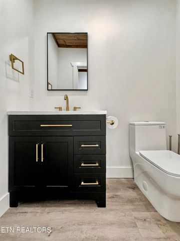 1924 Walker Tr, Sevierville, TN 37876