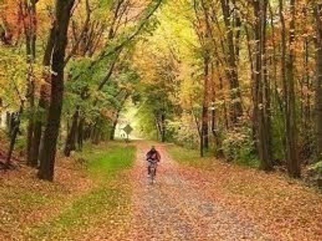 30 View Ave, Northampton, MA 01060