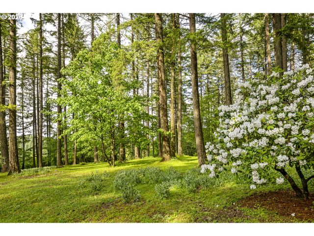 32575 Ne POISON OAK Ln, Newberg, OR 97132