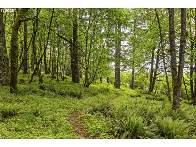 32575 Ne POISON OAK Ln, Newberg, OR 97132