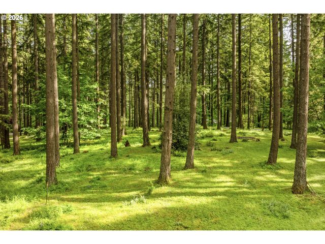 32575 Ne POISON OAK Ln, Newberg, OR 97132