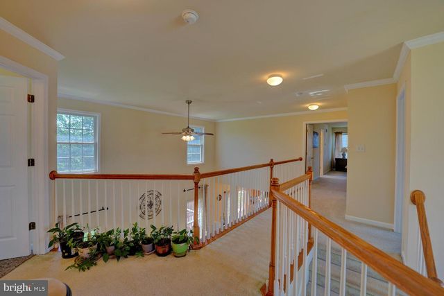 61 LADY CT, Dover, DE 19901