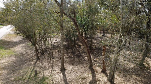 0 Teakwood Avenue, Fresno, TX 77545