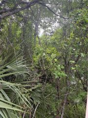 32937 THOROUGHBRED TRAIL, Sorrento, FL 32776