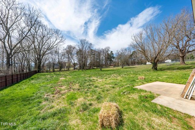 226 Dorothy Circle, Limestone, TN 37681