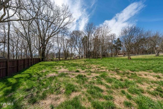 226 Dorothy Circle, Limestone, TN 37681