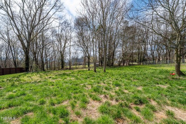 226 Dorothy Circle, Limestone, TN 37681